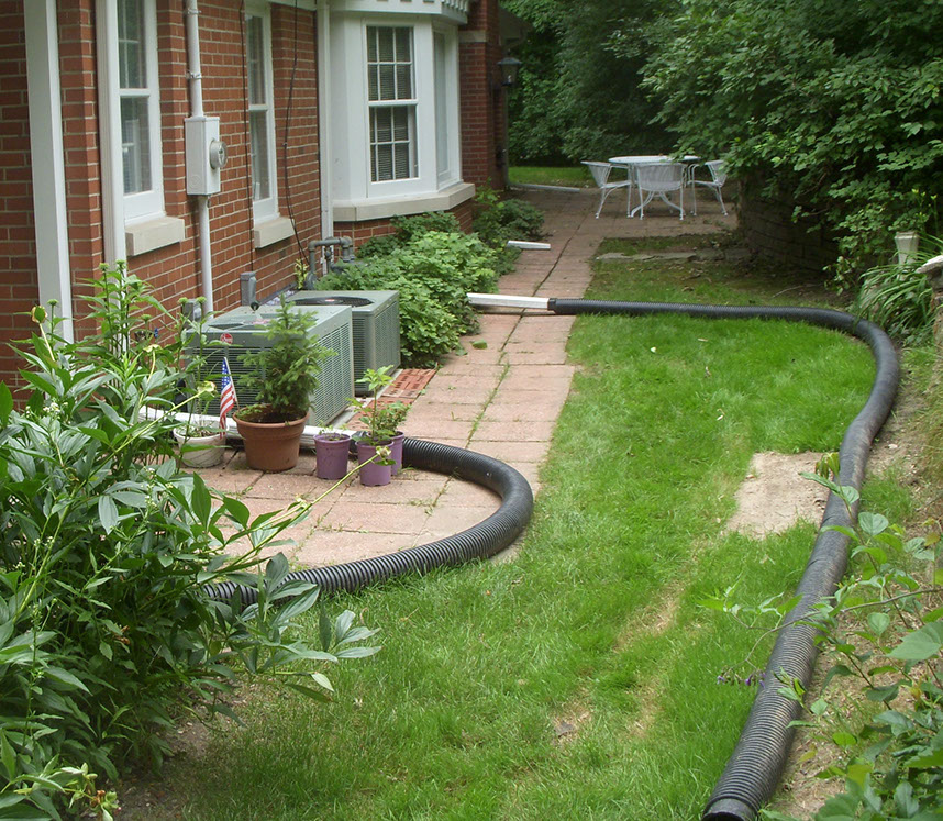 Elm Grove Case Study